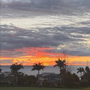 Meet your Posher, Ella